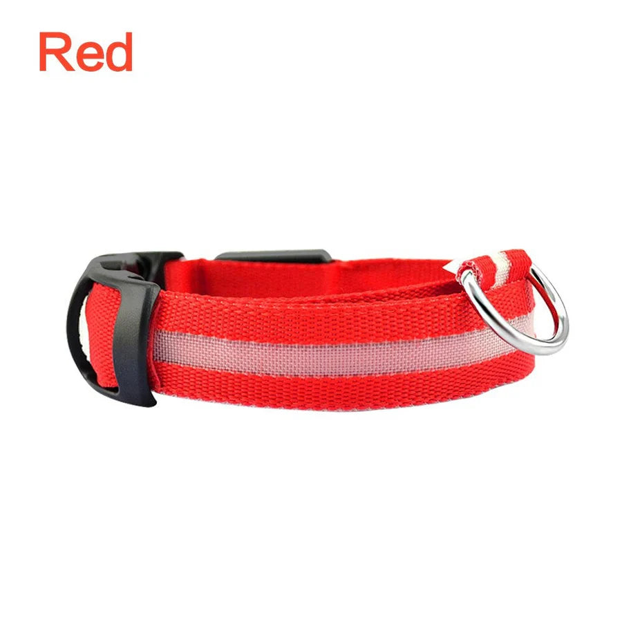 LED Glowing Safety Collar for Dogs 🐶✨