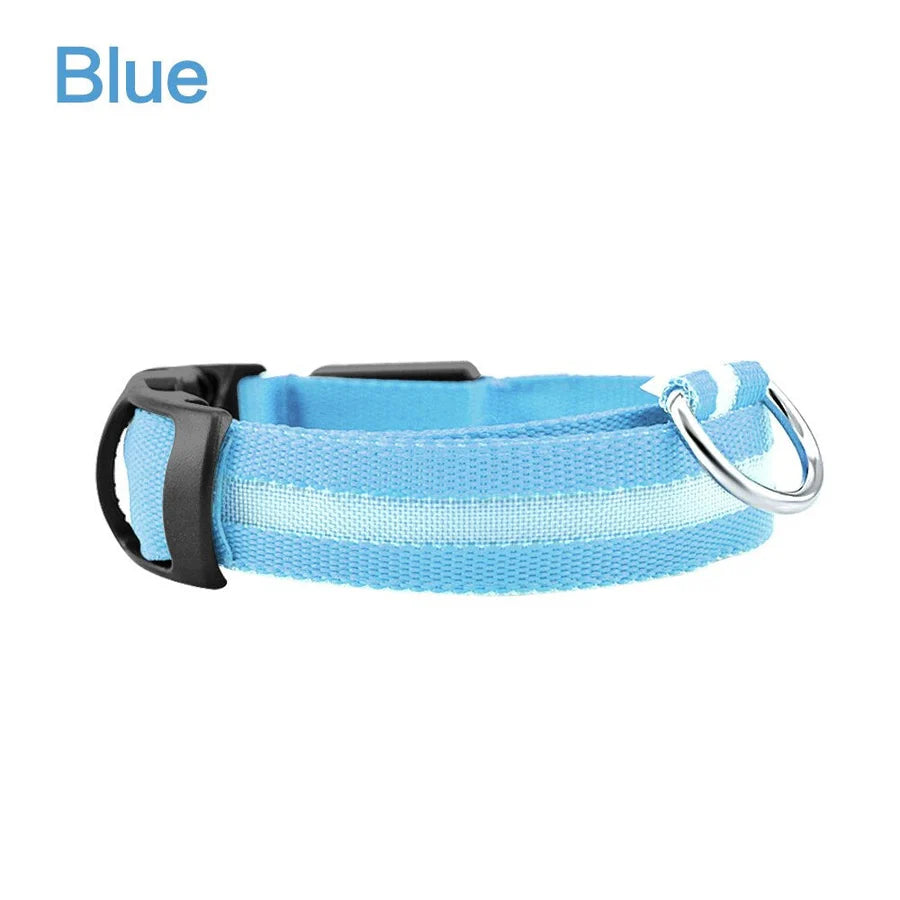 LED Glowing Safety Collar for Dogs 🐶✨