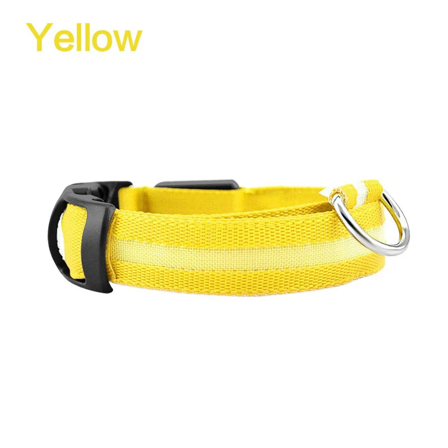 LED Glowing Safety Collar for Dogs 🐶✨