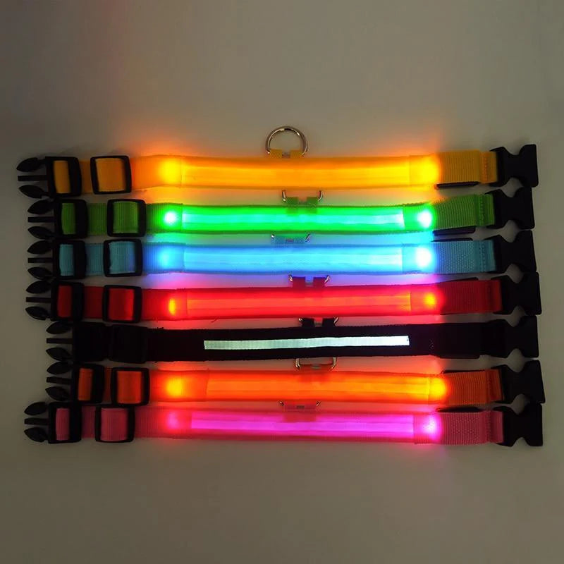 LED Glowing Safety Collar for Dogs 🐶✨
