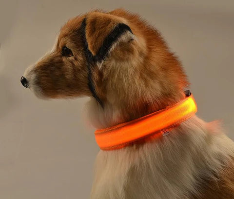 LED Glowing Safety Collar for Dogs 🐶✨