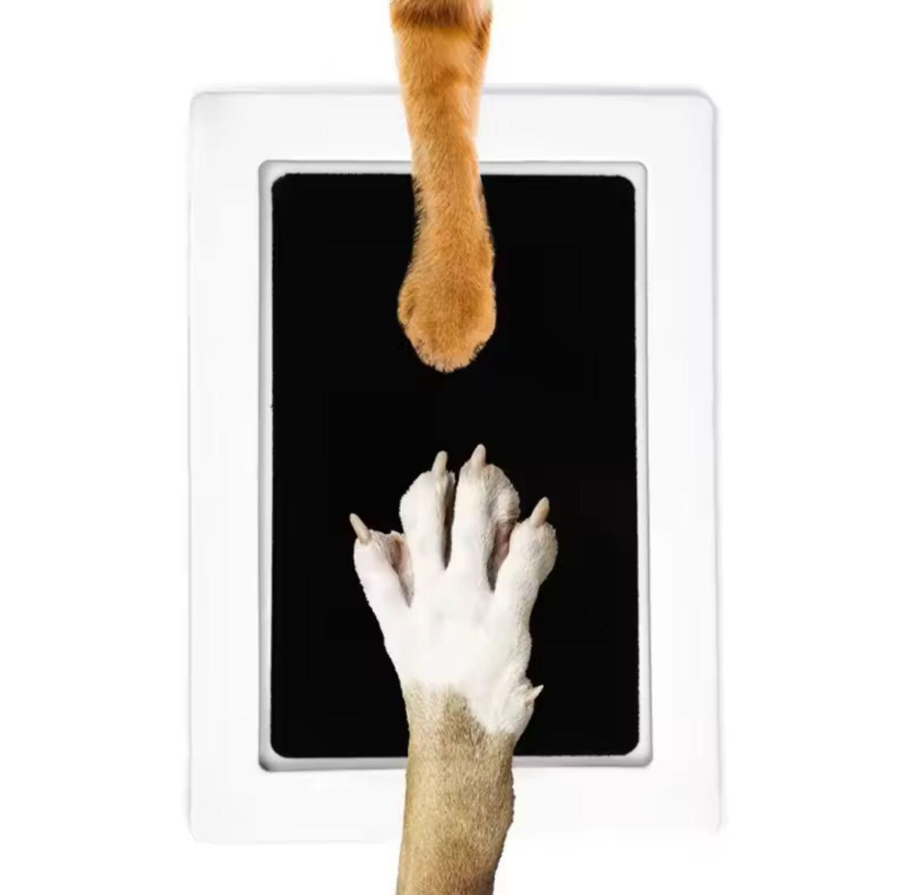 🐾🖐️ Cat & Dog Paw Print Ink Kit – Clean Touch, Non-Toxic & Mess-Free 🎁✨