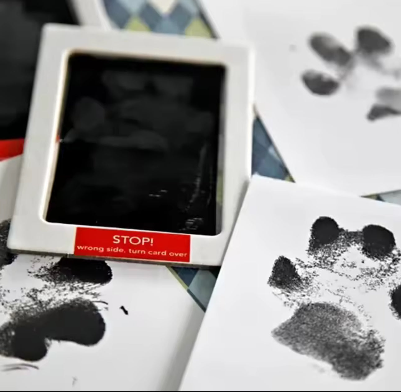 🐾🖐️ Cat & Dog Paw Print Ink Kit – Clean Touch, Non-Toxic & Mess-Free 🎁✨