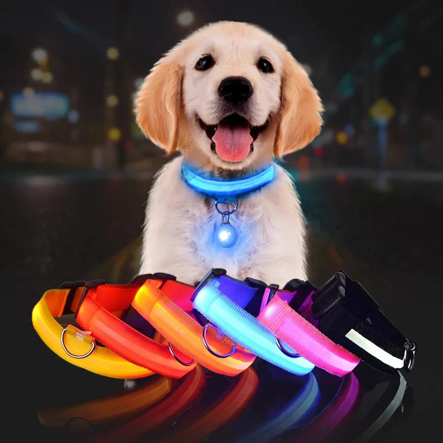 LED Glowing Safety Collar for Dogs 🐶✨